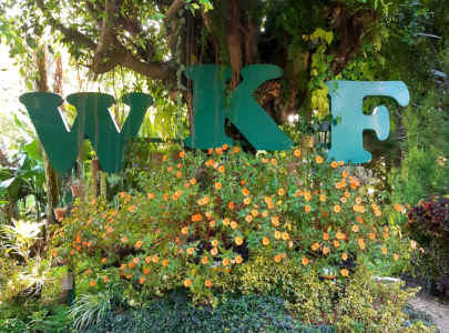 Supplier Bunga Terpercaya untuk Florist, Wedding, dan Event Decoration di Jawa Timur