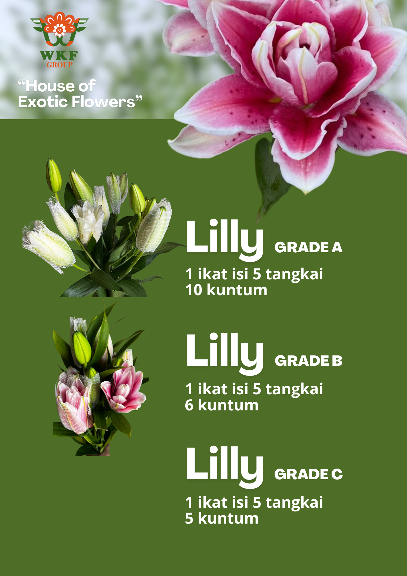 Lily