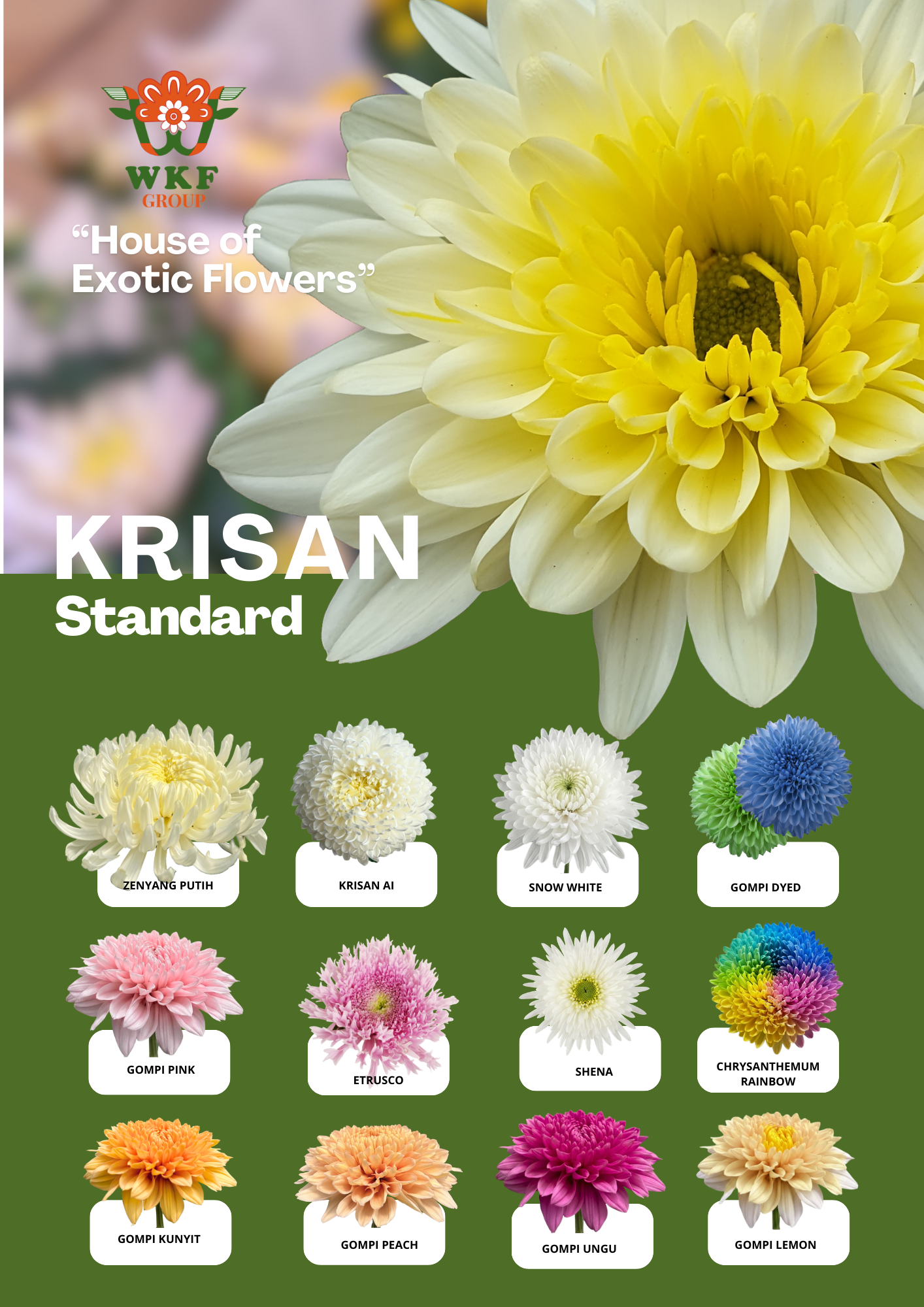 Krisan