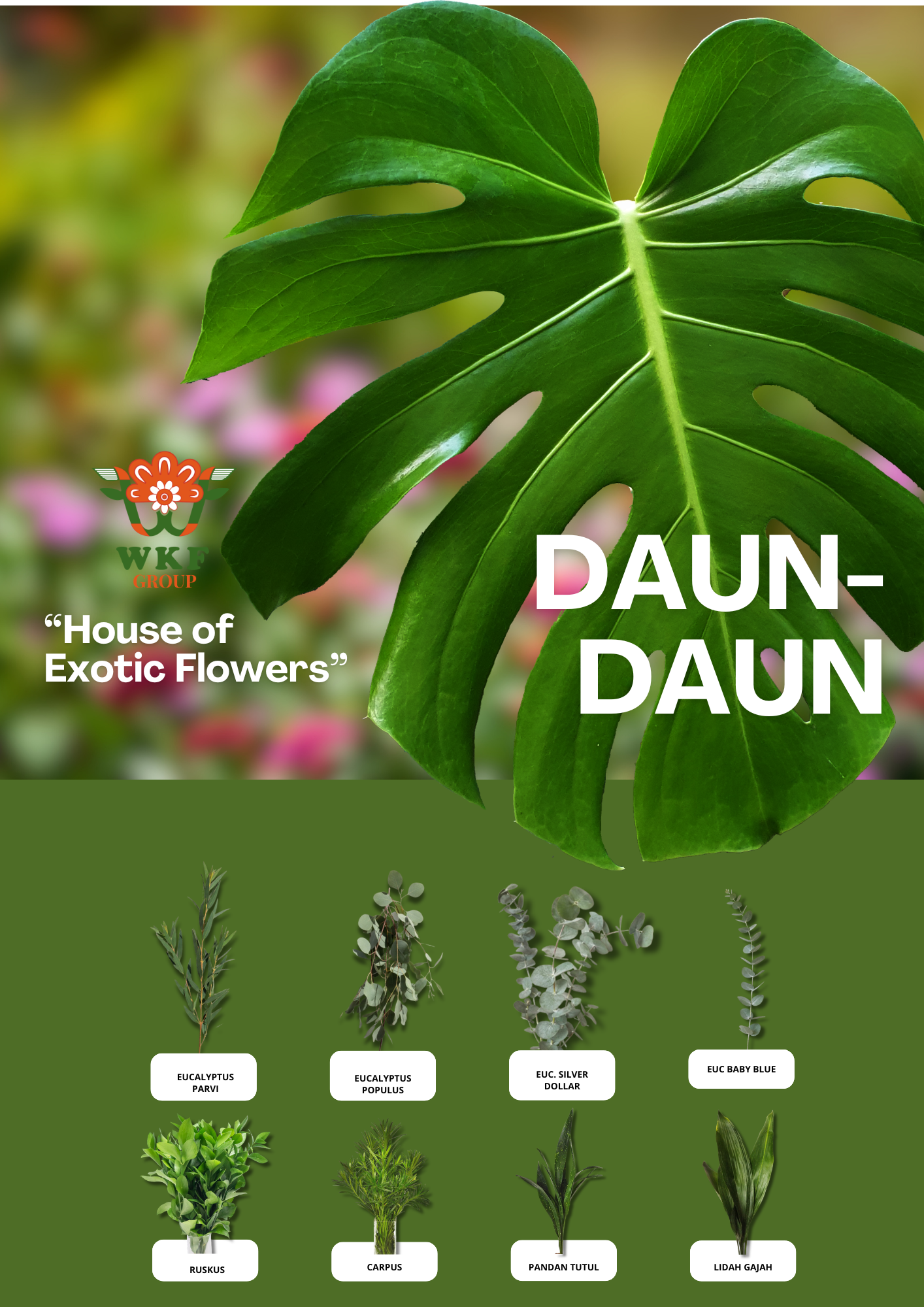 Leaves