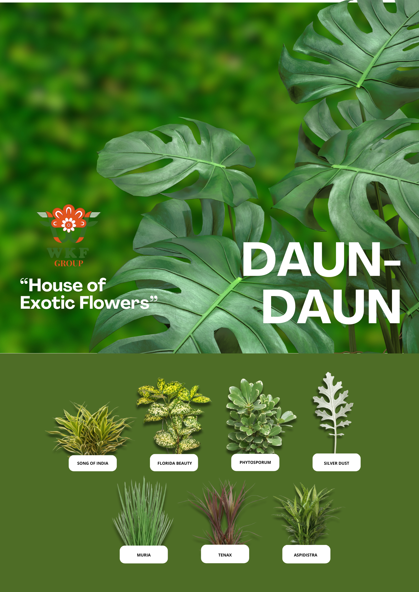 Leaves