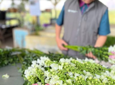 Snapdragon (Antirrhinum): Bunga Elegan yang Mengubah Bouquet Biasa Menjadi Karya Seni Premium