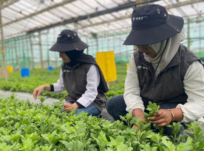 5 Ciri Supplier Bunga Segar Berkualitas untuk Florist Profesional
