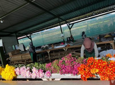 Daftar Supplier Bunga Segar di Surabaya dan Malang untuk Kebutuhan Toko Bunga