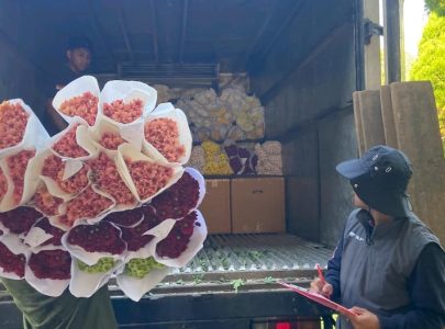 Mengapa Bunga Indonesia Kualitas Ekspor Kini Semakin Diminati?